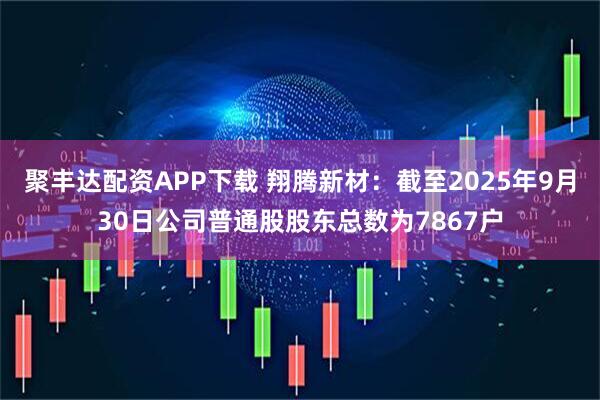 聚丰达配资APP下载 翔腾新材：截至2025年9月30日公司普通股股东总数为7867户
