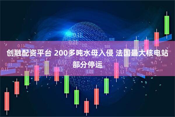 创融配资平台 200多吨水母入侵 法国最大核电站部分停运